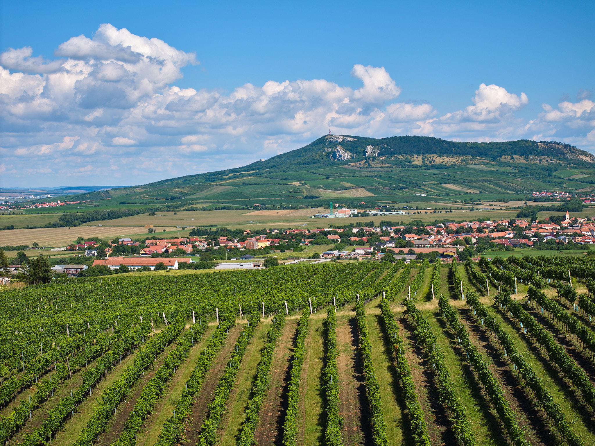 Vinaři na jižní Moravě vás na suchu nenechají
